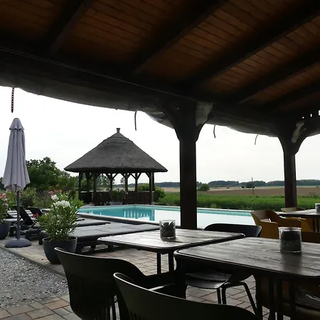 Tisza White House *