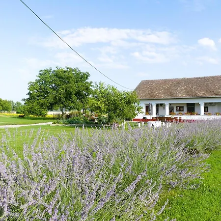 Tisza White House Bed & Breakfast