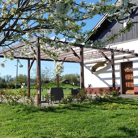 Tisza White House Bed & Breakfast *