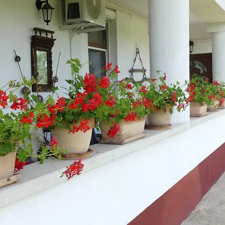 Bed & Breakfast Tisza White House Tiszaszolos
