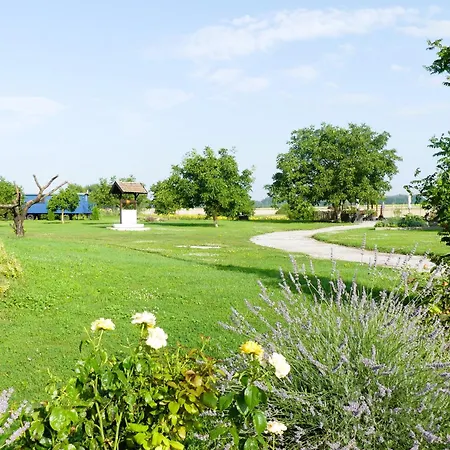 Bed & Breakfast Tisza White House