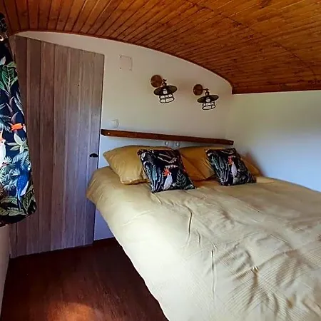 Tisza White House Bed and breakfast