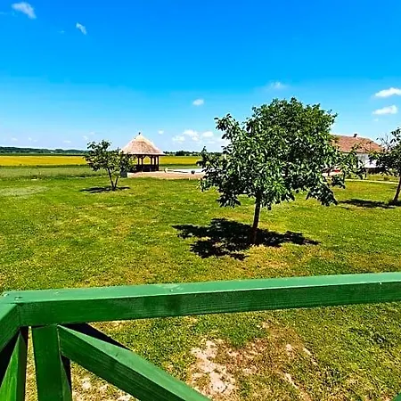 Tisza White House
