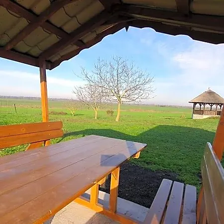 Bed and breakfast Tisza White House