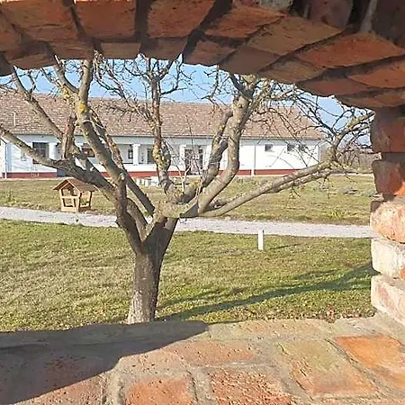 Bed and breakfast Tisza White House