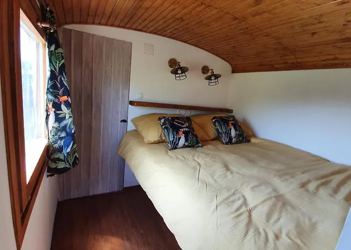 Bed & Breakfast Tisza White House