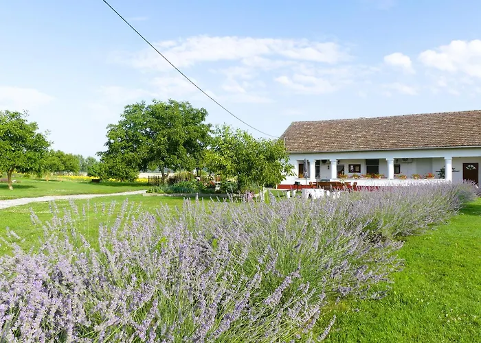 Tisza White House Bed & Breakfast