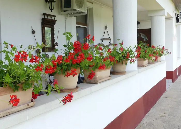 Bed & Breakfast Tisza White House Tiszaszolos